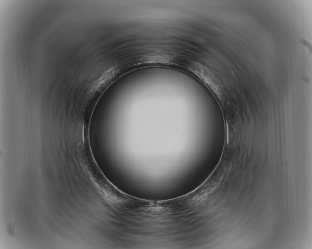 X0000097500253200802291603