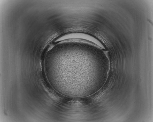 X0000097500254200802291603