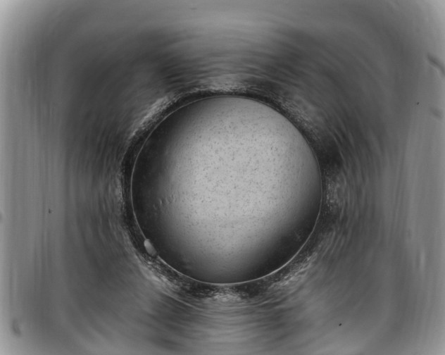 X0000097500256200802291603