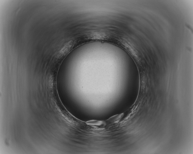 X0000097500257200802291603