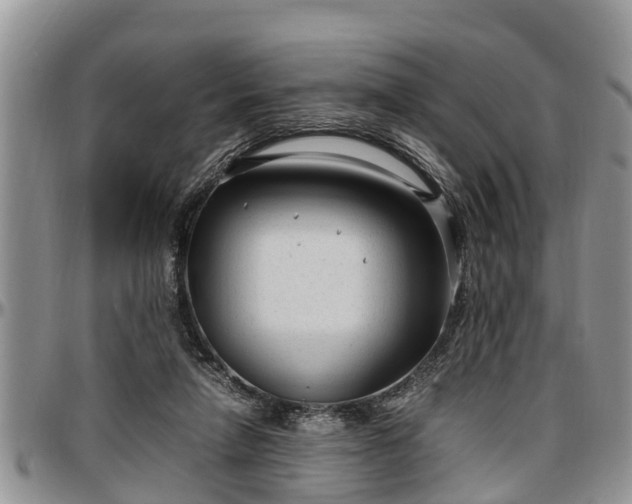 X0000097500258200802291604