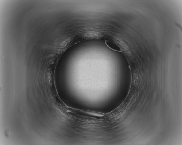 X0000097500259200802291604
