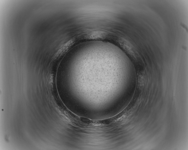 X0000097500260200802291604