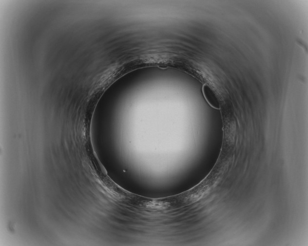 X0000097500261200802291604