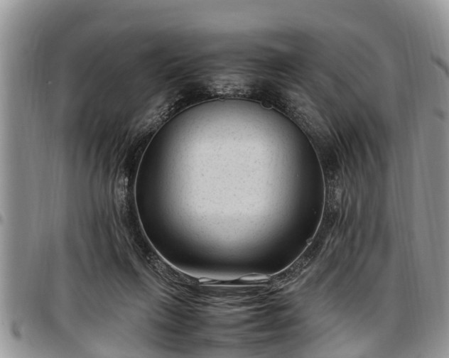 X0000097500263200802291604
