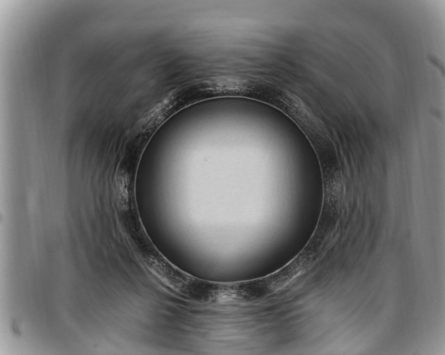 X0000097500264200802291604