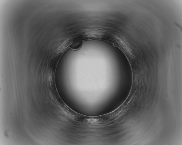 X0000097500265200802291604