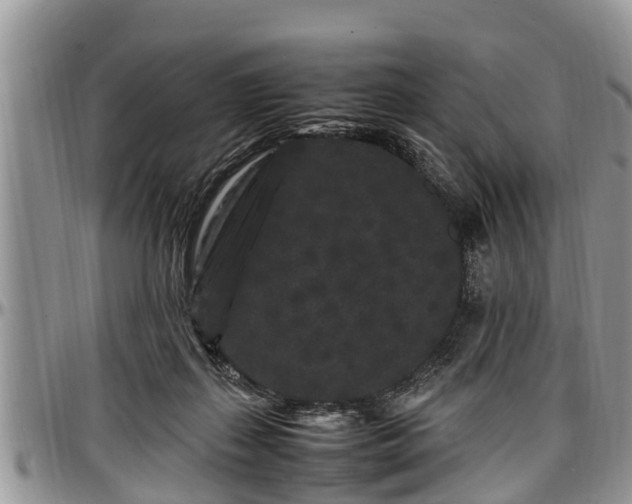 X0000097500267200802291604