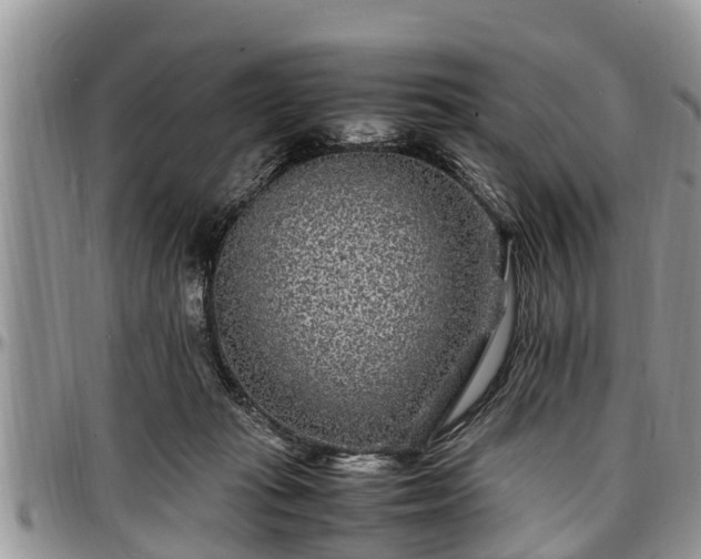 X0000097500269200802291604