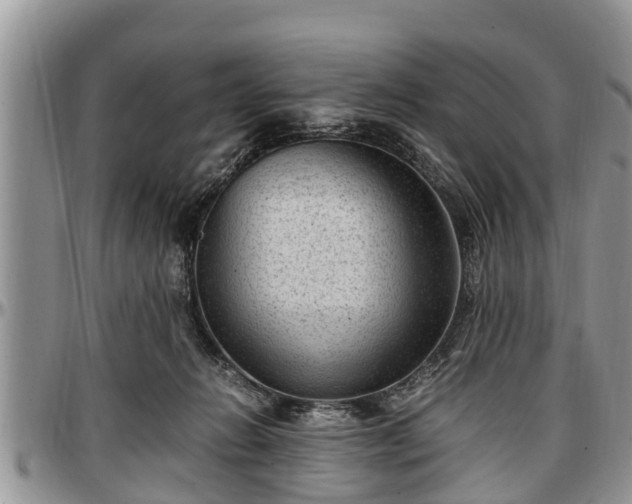 X0000097500270200802291604