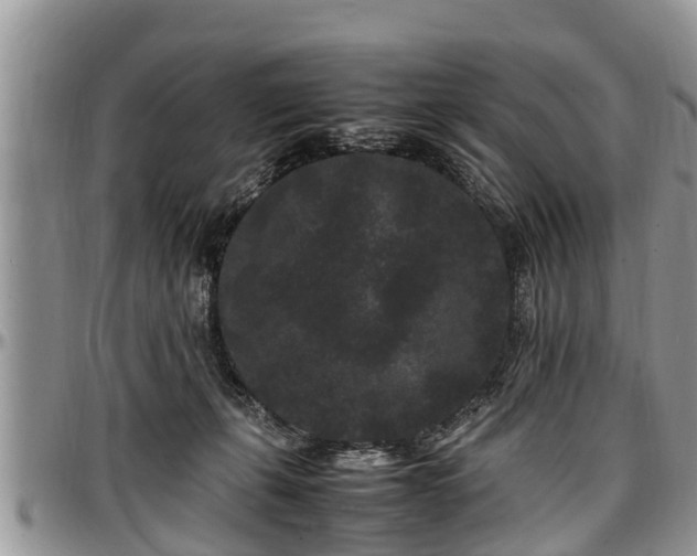 X0000097500271200802291604