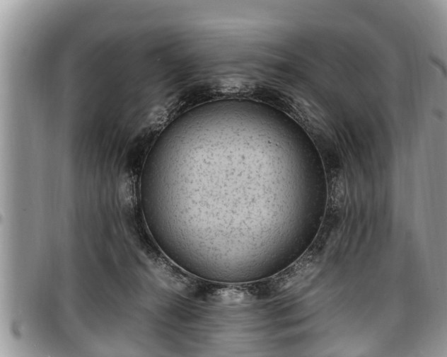 X0000097500272200802291604