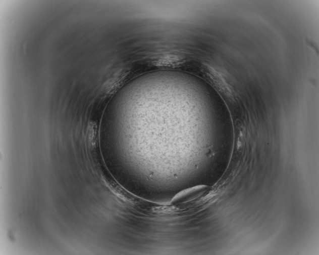 X0000097500273200802291604