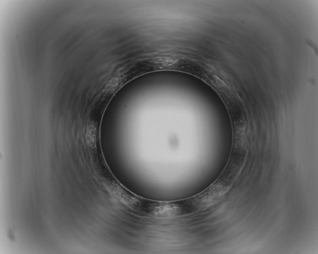 X0000097500274200802291604