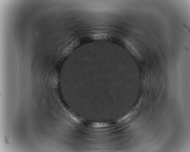 X0000097500277200802291604