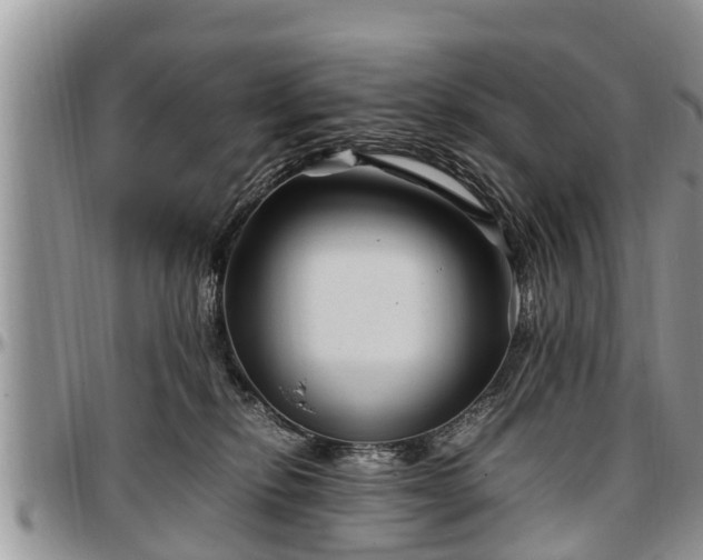 X0000097500278200802291604