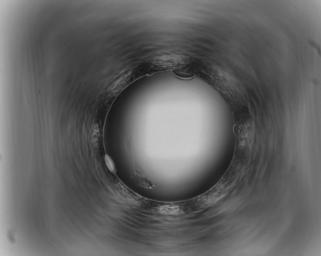 X0000097500279200802291604