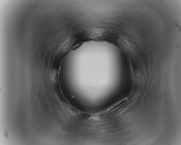 X0000097500280200802291604