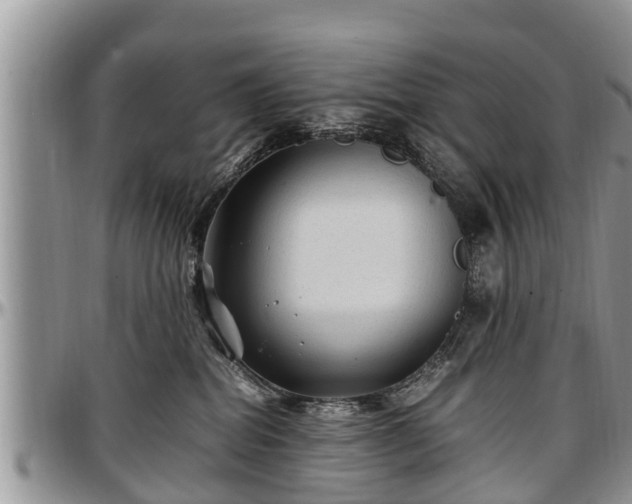 X0000097500282200802291604