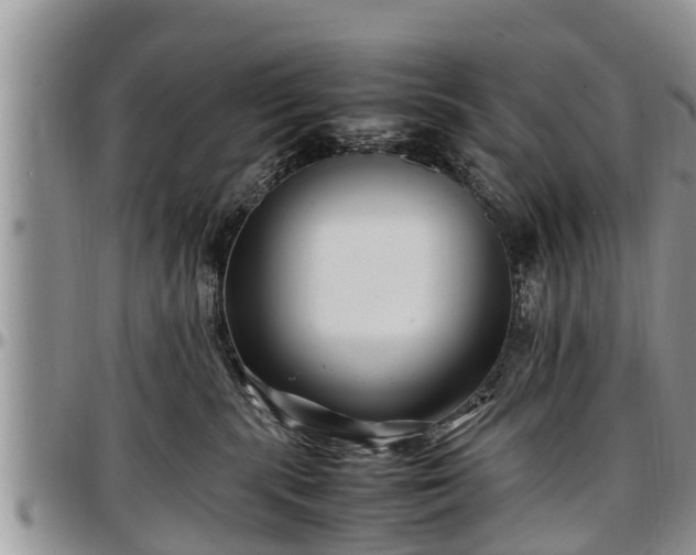 X0000097500283200802291604