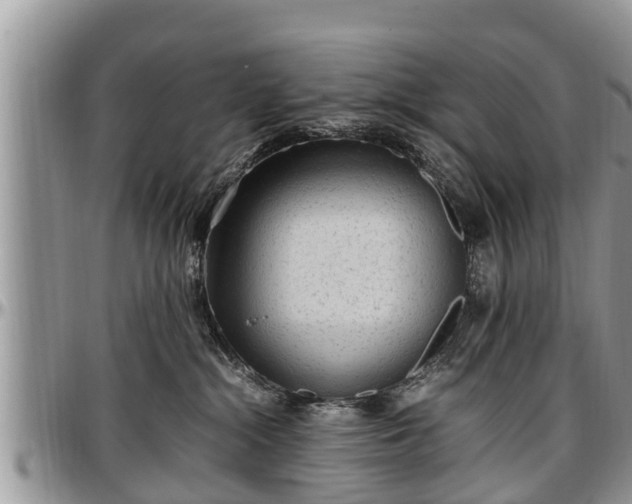 X0000097500284200802291604