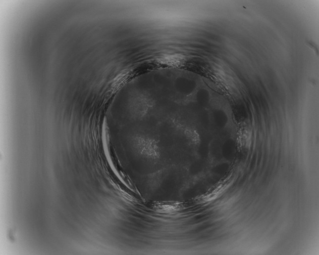 X0000097500285200802291604