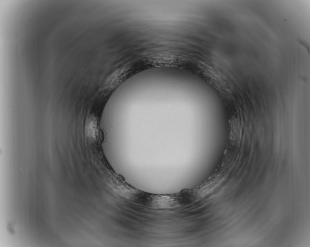 X0000097500287200802291604