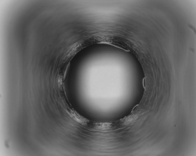X0000097500288200802291604