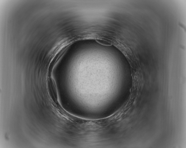 X0000097500290200802291603