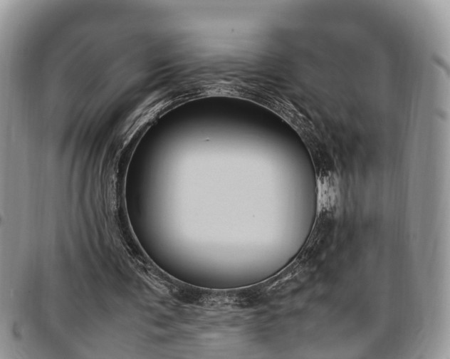 X0000097500291200802291603