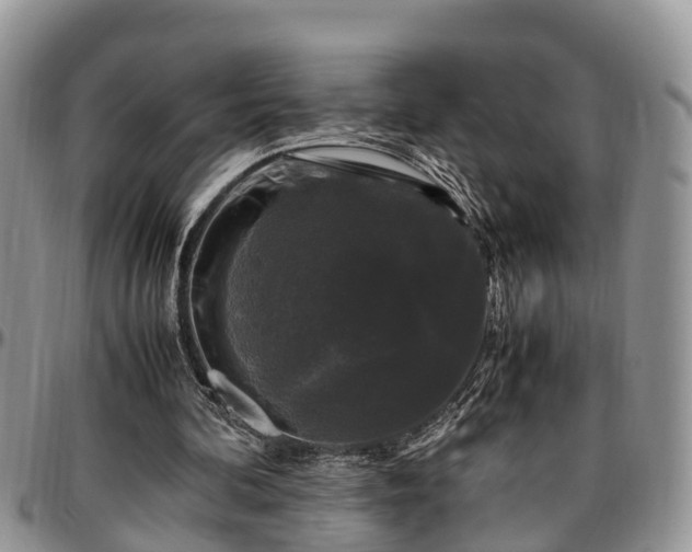X0000097500292200802291603