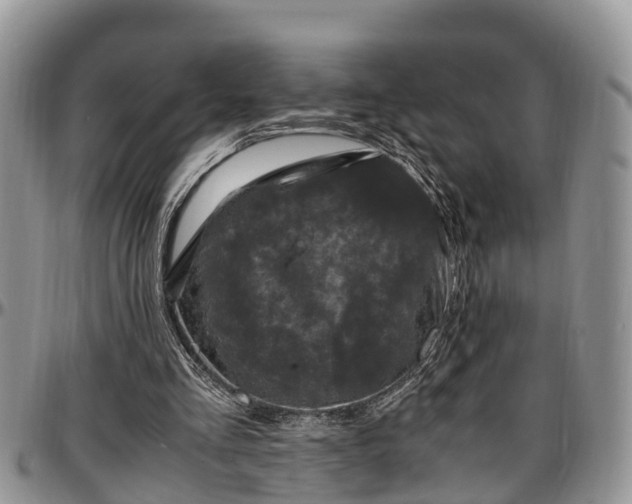 X0000097500293200802291603