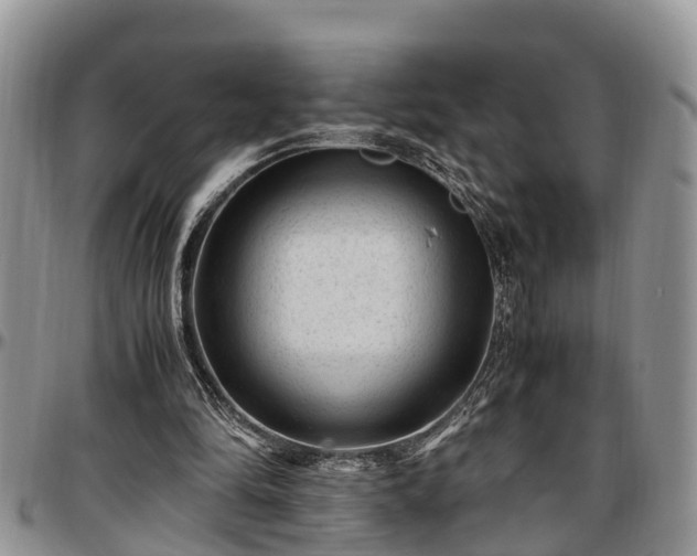 X0000097500294200802291603