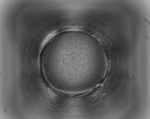 X0000097500296200802291603