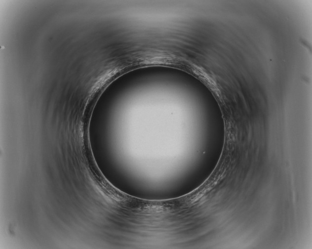 X0000097500298200802291603