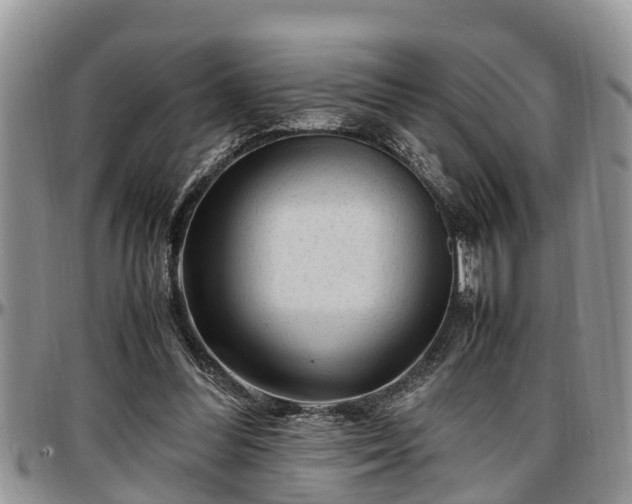X0000097500300200802291603