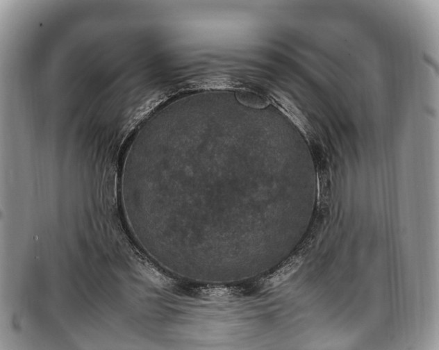X0000097500301200802291603