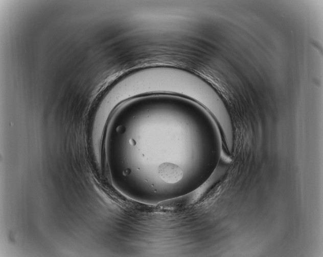 X0000097500302200802291603