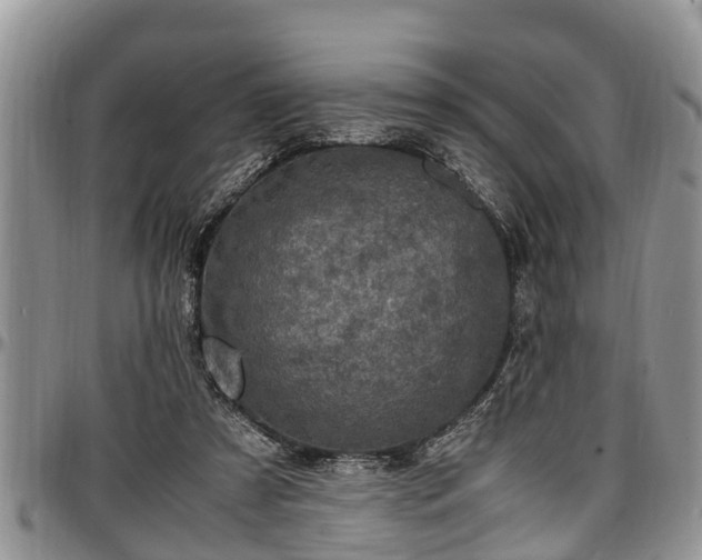 X0000097500305200802291603