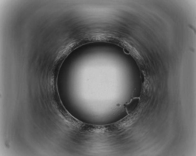 X0000097500306200802291603