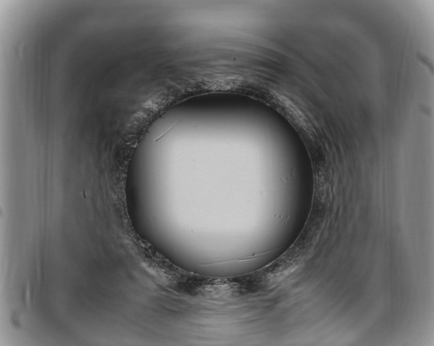 X0000097500307200802291603