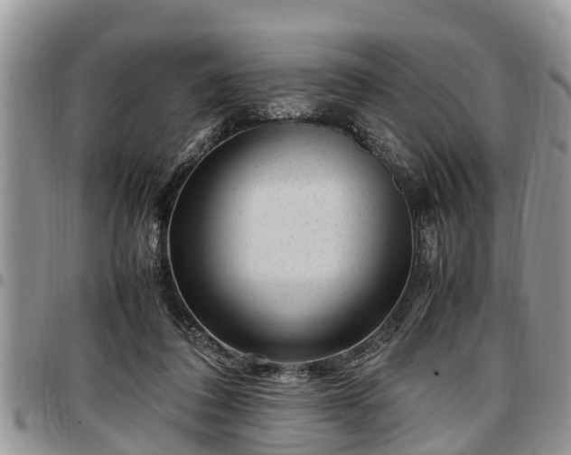 X0000097500308200802291603
