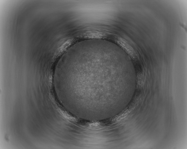 X0000097500309200802291603
