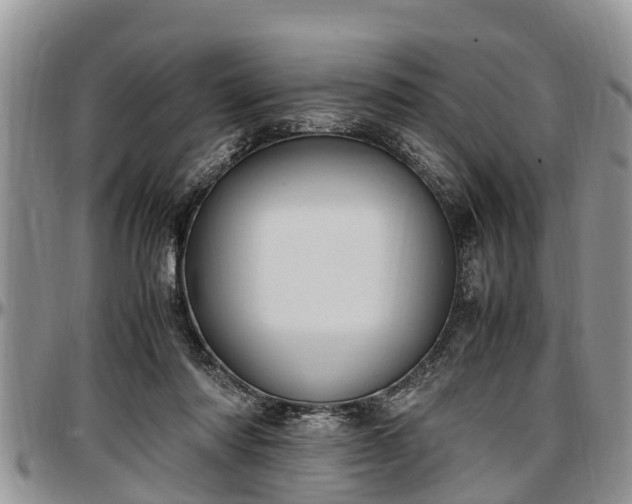 X0000097500310200802291603