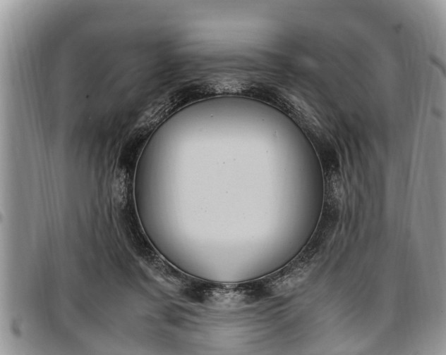 X0000097500311200802291603