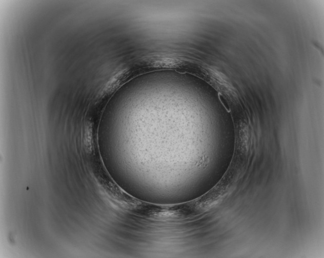 X0000097500312200802291603
