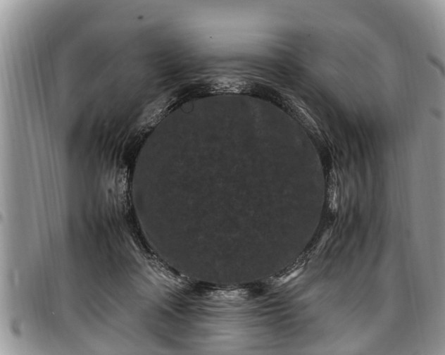 X0000097500314200802291603
