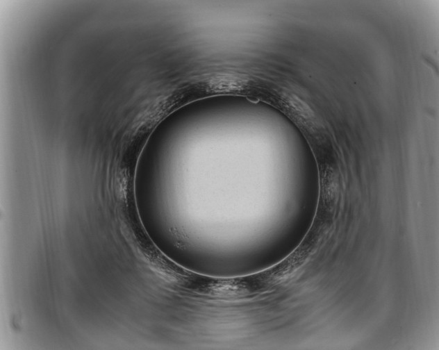 X0000097500315200802291603
