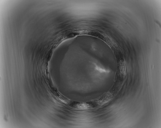 X0000097500316200802291603