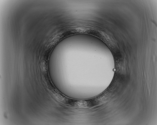 X0000097500317200802291603